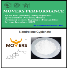 Steroid Nandrolone Cypionate in Pharmaceuticals